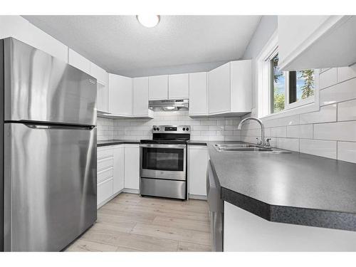 6 Abbeydale Villas Ne, Calgary, AB - Indoor Photo Showing Kitchen With Double Sink