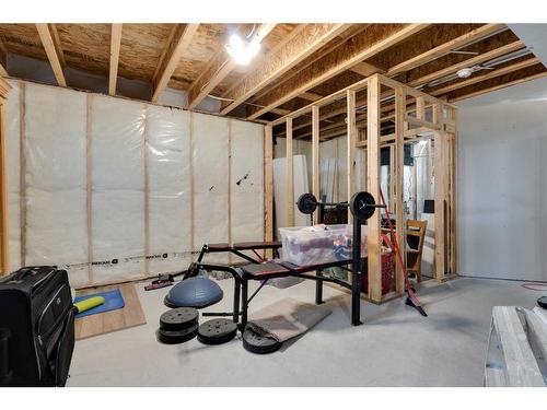 27138 Highway 27 Highway, Rural Mountain View County, AB - Indoor Photo Showing Basement