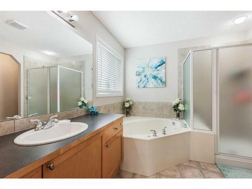 13 Brightondale Park Se, Calgary, AB - Indoor Photo Showing Bathroom