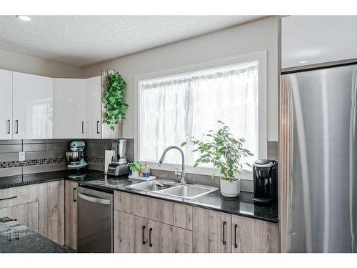 46 Skyview Point Link Ne, Calgary, AB - Indoor Photo Showing Kitchen With Double Sink With Upgraded Kitchen