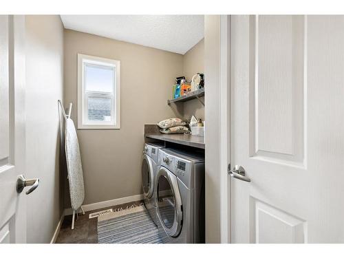 19 Cranford Close Se, Calgary, AB - Indoor Photo Showing Laundry Room