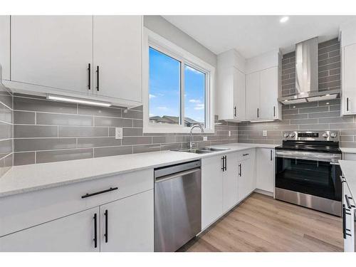 45 Corner Glen Way Ne, Calgary, AB - Indoor Photo Showing Kitchen With Stainless Steel Kitchen With Double Sink With Upgraded Kitchen