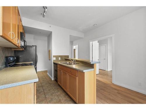 437-910 Centre Avenue Ne, Calgary, AB - Indoor Photo Showing Kitchen With Double Sink