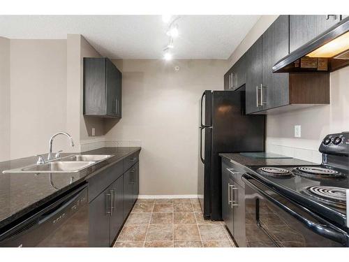 404-15 Saddlestone Way Ne, Calgary, AB - Indoor Photo Showing Kitchen With Double Sink