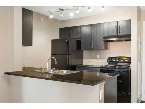 404-15 Saddlestone Way Ne, Calgary, AB - Indoor Photo Showing Kitchen With Double Sink