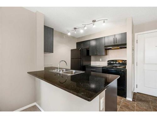 404-15 Saddlestone Way Ne, Calgary, AB - Indoor Photo Showing Kitchen With Double Sink