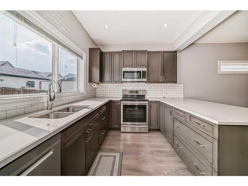 67 Masters Crescent Se, Calgary, AB - Indoor Photo Showing Kitchen With Double Sink