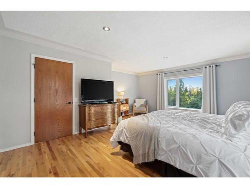 231192 Forestry Way, Rural Rocky View County, AB - Indoor Photo Showing Bedroom