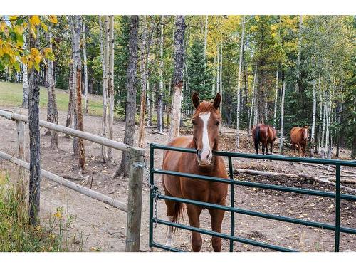 231192 Forestry Way, Rural Rocky View County, AB - Outdoor