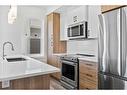 14-2117 81 Street Sw, Calgary, AB  - Indoor Photo Showing Kitchen With Double Sink With Upgraded Kitchen 