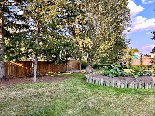 818 7 Avenue Ne, Three Hills, AB - Outdoor With Backyard