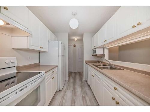 303-1303 Tuscarora Manor Nw, Calgary, AB - Indoor Photo Showing Kitchen With Double Sink