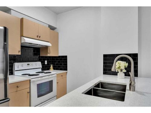 4307-73 Erin Woods Court Se, Calgary, AB - Indoor Photo Showing Kitchen With Double Sink