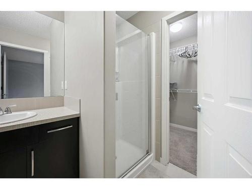 187 Cranford Crescent Se, Calgary, AB - Indoor Photo Showing Bathroom