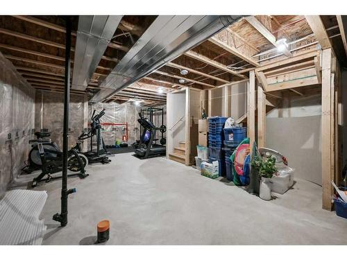 187 Cranford Crescent Se, Calgary, AB - Indoor Photo Showing Basement