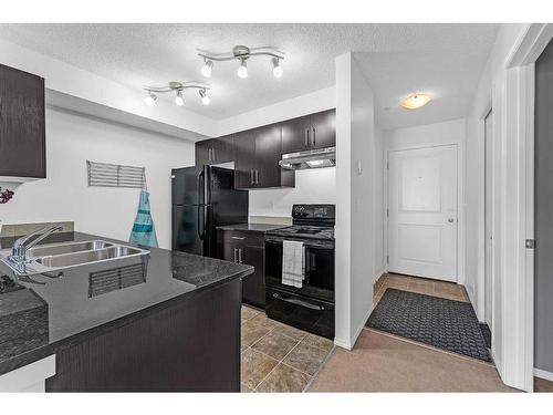 3307-81 Legacy Boulevard Se, Calgary, AB - Indoor Photo Showing Kitchen With Double Sink