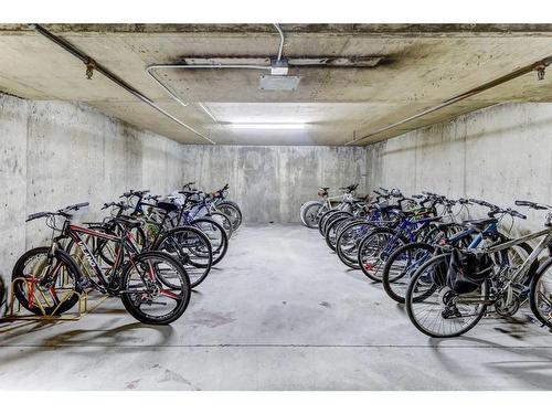 219-525 56 Avenue Sw, Calgary, AB - Indoor Photo Showing Garage