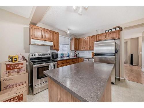 53 Millrise Mews Sw, Calgary, AB - Indoor Photo Showing Kitchen With Double Sink