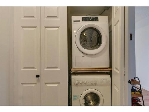 208-809 4 Street Ne, Calgary, AB - Indoor Photo Showing Laundry Room