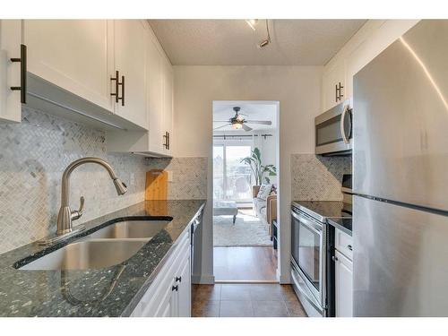 208-809 4 Street Ne, Calgary, AB - Indoor Photo Showing Kitchen With Double Sink With Upgraded Kitchen