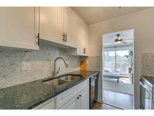 208-809 4 Street Ne, Calgary, AB - Indoor Photo Showing Kitchen With Double Sink