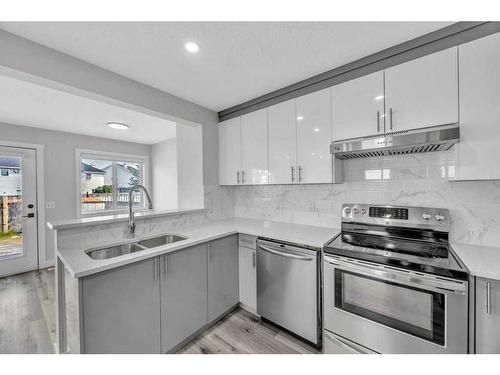 215 Coral Springs Circle Ne, Calgary, AB - Indoor Photo Showing Kitchen With Double Sink