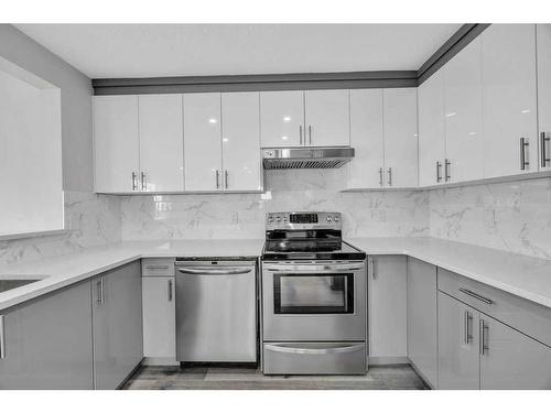 215 Coral Springs Circle Ne, Calgary, AB - Indoor Photo Showing Kitchen