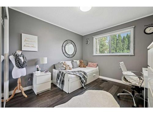 16112 Patricia Drive Nw, Edmonton, AB - Indoor Photo Showing Bedroom