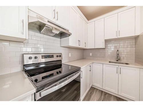 146 Homestead Park Ne, Calgary, AB - Indoor Photo Showing Kitchen