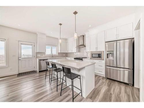 146 Homestead Park Ne, Calgary, AB - Indoor Photo Showing Kitchen With Upgraded Kitchen