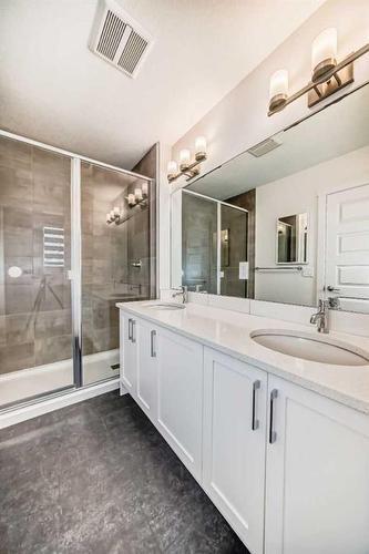 146 Homestead Park Ne, Calgary, AB - Indoor Photo Showing Bathroom