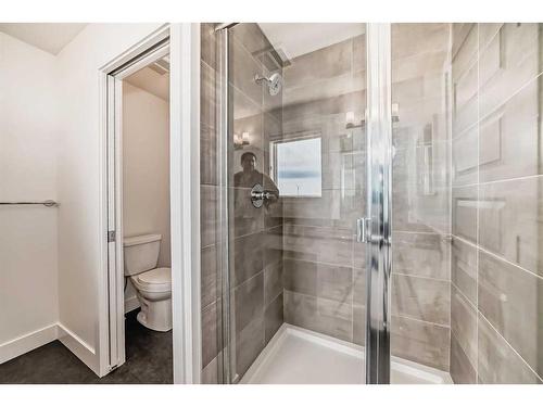 146 Homestead Park Ne, Calgary, AB - Indoor Photo Showing Bathroom