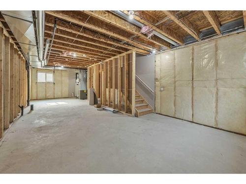 220 Savanna Terrace Ne, Calgary, AB - Indoor Photo Showing Basement