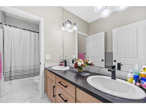 244 Cornerbrook Common Ne, Calgary, AB - Indoor Photo Showing Bathroom