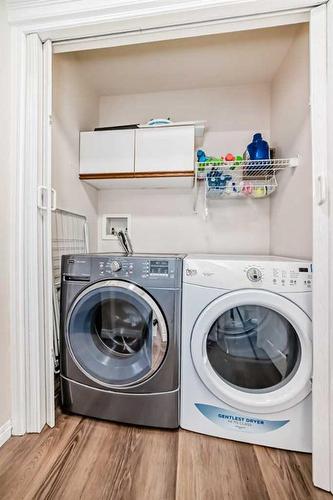 315 Taracove Estate Drive Ne, Calgary, AB - Indoor Photo Showing Laundry Room