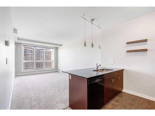 1505-8880 Horton Road Sw, Calgary, AB - Indoor Photo Showing Kitchen With Double Sink