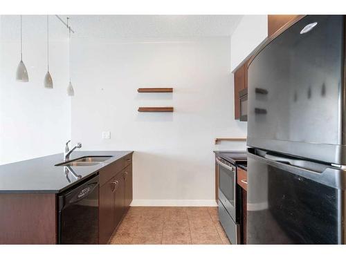 1505-8880 Horton Road Sw, Calgary, AB - Indoor Photo Showing Kitchen With Double Sink