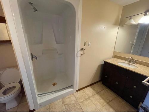 274034A Range Road 243, Rural Wheatland County, AB - Indoor Photo Showing Bathroom