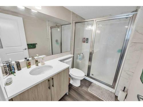 2302-6118 80 Avenue Ne, Calgary, AB - Indoor Photo Showing Bathroom