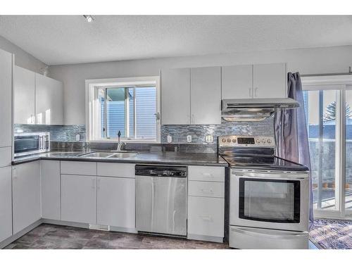 277 Fresno Place Ne, Calgary, AB - Indoor Photo Showing Kitchen With Double Sink