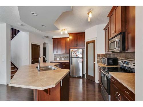 42 Skyview Ranch Crescent Ne, Calgary, AB - Indoor Photo Showing Kitchen With Double Sink