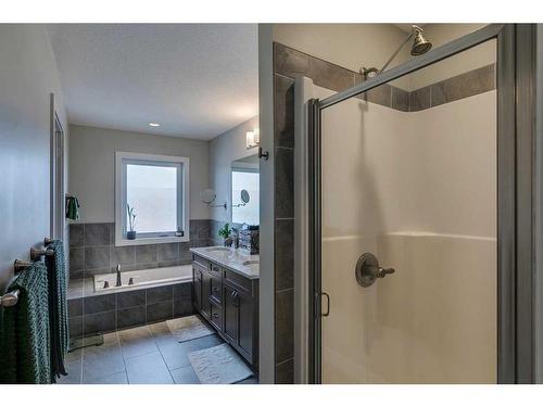 19 Vincent Crescent, Olds, AB - Indoor Photo Showing Bathroom