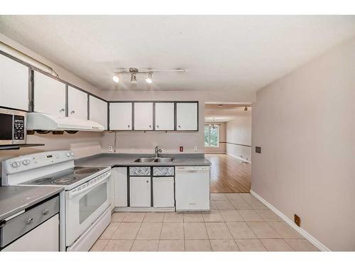 81 Castlebrook Way Ne, Calgary, AB - Indoor Photo Showing Kitchen With Double Sink