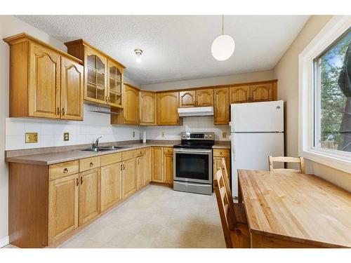 48 Bermuda Drive Nw, Calgary, AB - Indoor Photo Showing Kitchen With Double Sink