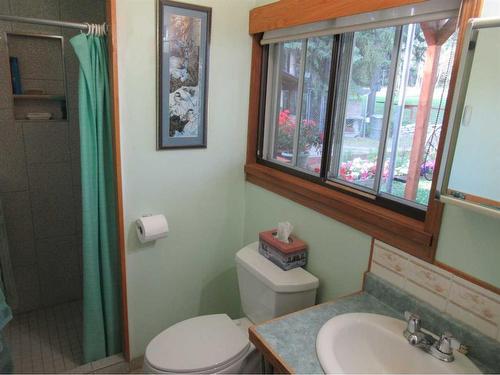 352080 Highway 22, Rural Clearwater County, AB - Indoor Photo Showing Bathroom