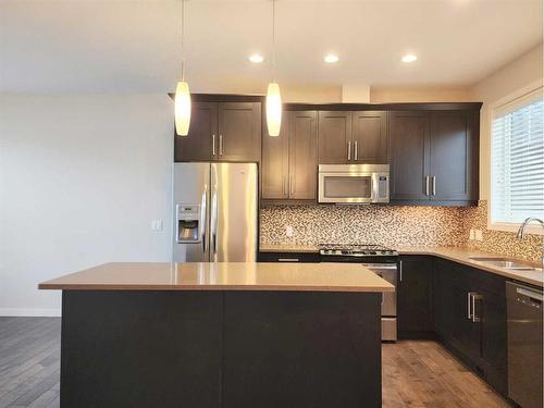 66 Nolan Hill Heights Nw, Calgary, AB - Indoor Photo Showing Kitchen With Stainless Steel Kitchen With Upgraded Kitchen