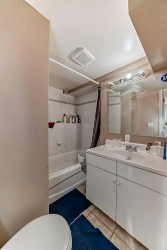 20 Castlebrook Road Ne, Calgary, AB - Indoor Photo Showing Bathroom