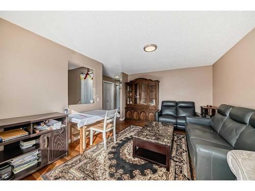 20 Castlebrook Road Ne, Calgary, AB - Indoor Photo Showing Living Room