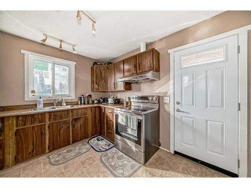 20 Castlebrook Road Ne, Calgary, AB - Indoor Photo Showing Kitchen With Double Sink