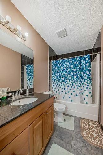 20 Castlebrook Road Ne, Calgary, AB - Indoor Photo Showing Bathroom